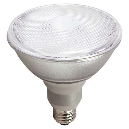 CFL PAR38 Bulb