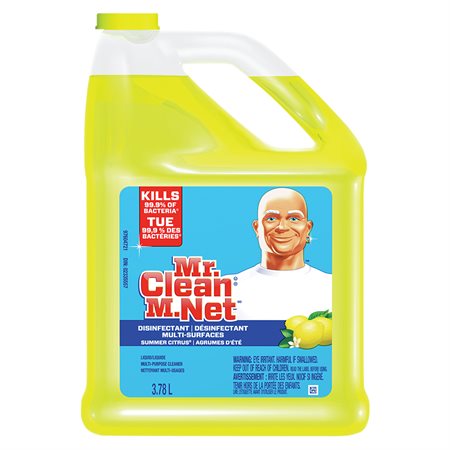 Mr. Clean® Multi-Surface Cleaner