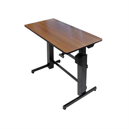 WorkFit-D Sit Stand Desk