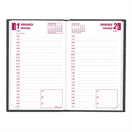 Daily Planner (2024)