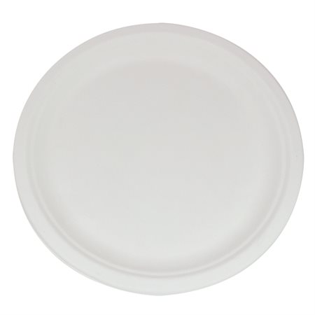 Cornstarch Dinnerware plates