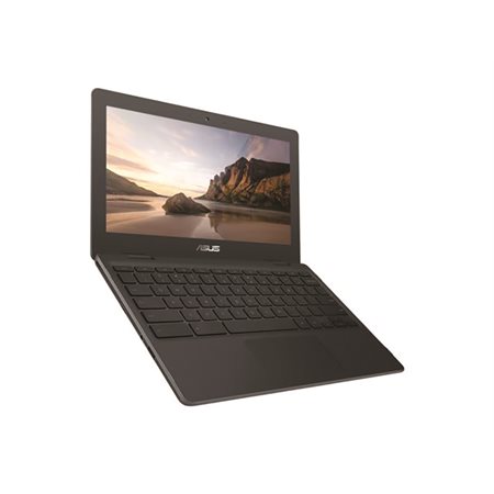 C204MA Chromebook Notebook Computer