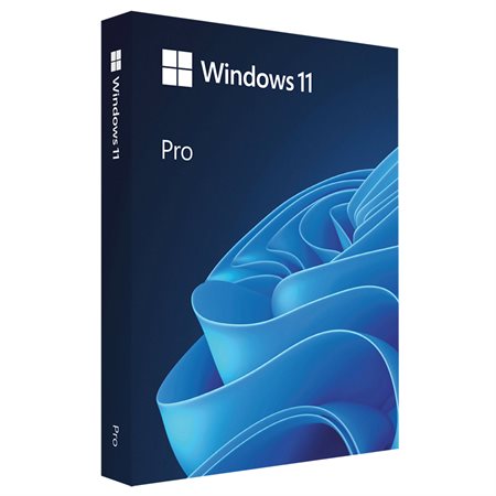 Microsoft Windows 11 Pro 64-bit (Anglais)